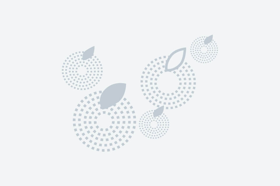 # Retour sur la journée collective de la filière cidricole - Observatoire économique et structuration de la filière